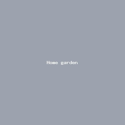 Home & Garden